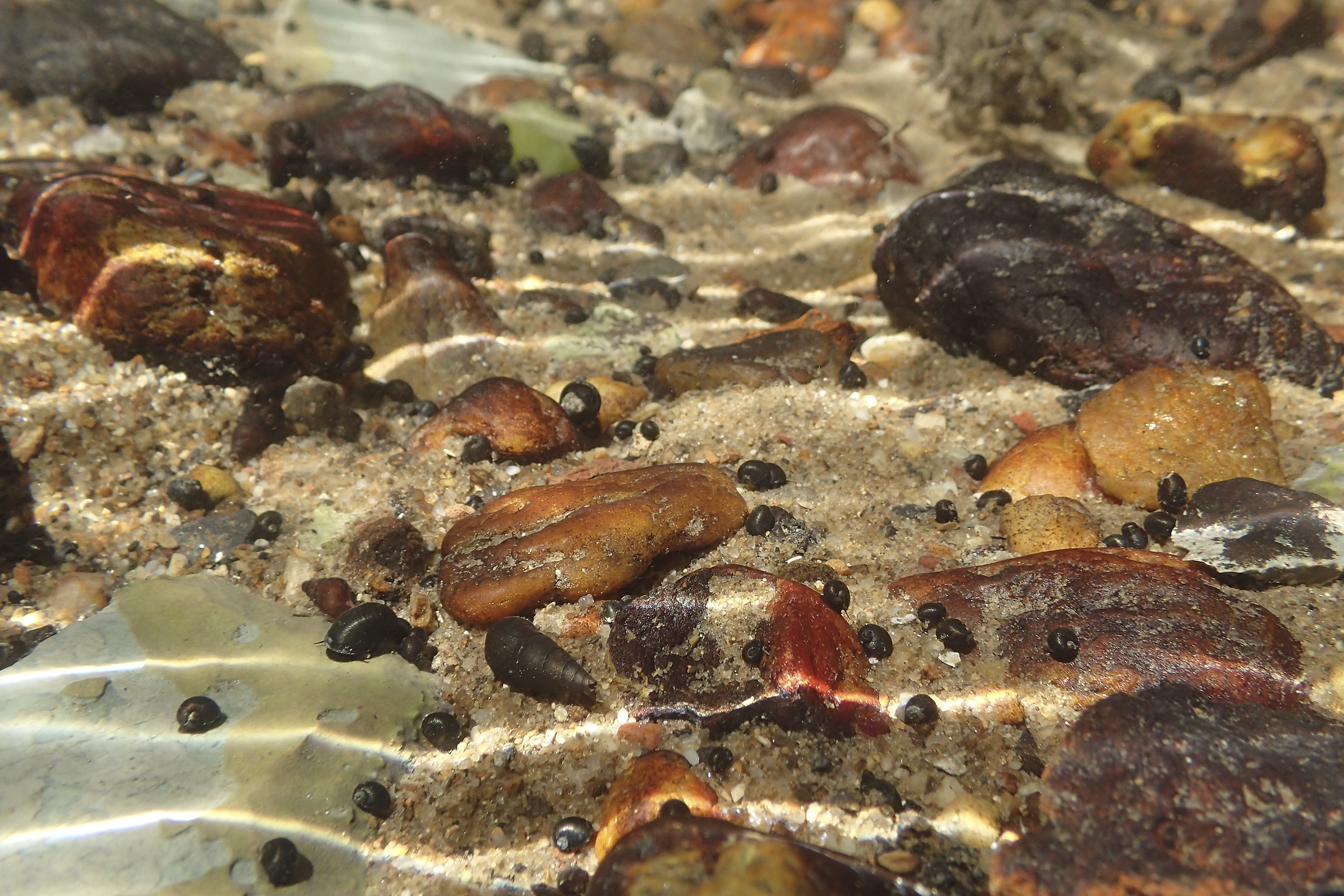 5_Násfayné Kőházi Mária M_X_8100121mv2e.jpg